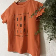 美品　モンベル mont-bell キッズ　昆虫デザイン Tシャツ　120