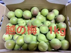 宮崎県産　摘花　グリーン　マンゴー　12kg 宮崎県産 摘花 グリーン マンゴー 1.2kg - メルカリ