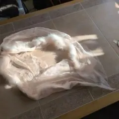 Item thumbnail for item 5975c829-1ce2-44d3-a8d7-85cca0c9885e