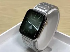 Apple Watch Series 5 44mm シルバーステンレス