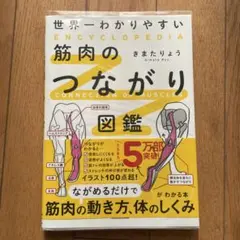 世界一わかりやすい 筋肉のつながり図鑑