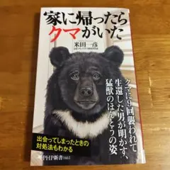 家に帰ったらクマがいた