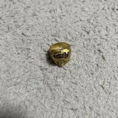 シカゴ・ブルズ チャンピョンリング