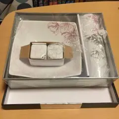 カンサイパスタ皿セット