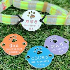 Item thumbnail for item 8c5b0938-89e0-41bf-98eb-bb50b0a9300d