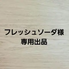 フレッシュソーダ様　専用出品