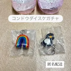 DaisukeKondo めじるしアクセサリー 2点セット