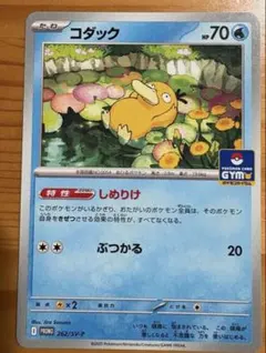 ジムプロモ コダック しめりけ ❷