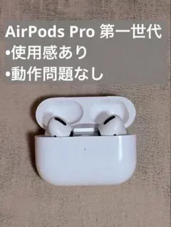 Apple AirPods Pro 第1世代 純正 Lightning 美品 - メルカリ
