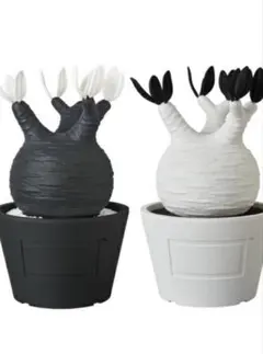 2025年最新】ボタナイズの人気アイテム - メルカリ