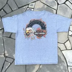 90s Harley Davidson ヘンリーネックT イーグル　フレイム