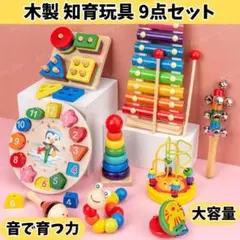 木のおもちゃ 9点セット 知育玩具 天然木 シロフォン 型はめ 1歳 2歳 3歳のサムネイル