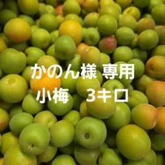 【かのん様 専用 小梅　3kg　箱含まない】6-7のサムネイル