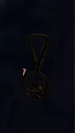 Item thumbnail for item 37c9a25c-8f58-44ba-b8e8-4125440314af