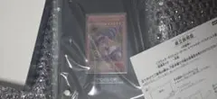 ​【限定品】遊戯王 ブラック・マジシャン・ガール ステンレス製