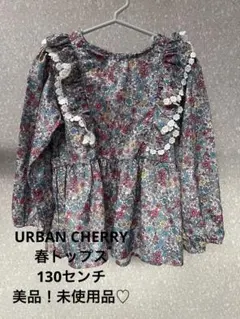 Item thumbnail for item 991c4aa9-407b-4f49-90d5-1da879e78d86