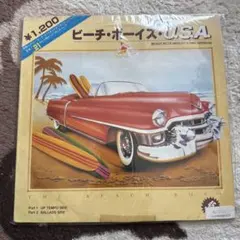 ビーチボーイズ スーパービーチボーイズUSA 12インチ レコード y156 ビーチボーイズ スーパービーチボーイズUSA 12インチ レコード y156