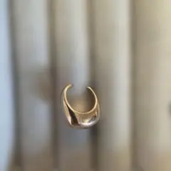 Item thumbnail for item e7e5b0e1-f0aa-4994-afa9-4127ea2643d1