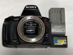 2026年最新】SONY α230の人気アイテム - メルカリ