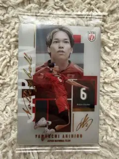 バレーボール男子 日本代表 山内晶大 メタリックプラカード