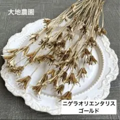 まりりん様　ご専用