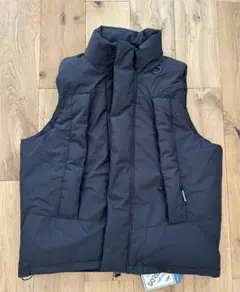 2025年最新】daiwa pier39 ダウンベストの人気アイテム - メルカリ