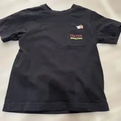 Item thumbnail for item 350ec269-e2de-475e-b71f-e34f51d21e5d