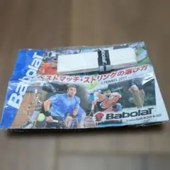 Item thumbnail for item 4c6aa283-b4b0-4a86-bd82-58649e7898f9