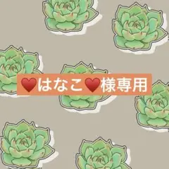 ♥はなこ♥月火金(26日最終)発送‼️様 リクエスト 2点 まとめ商品