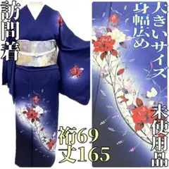 【着物と帯 時流】H56yts◆正絹 訪問着◆大きいサイズ 身幅広め 未使用品