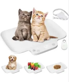 Item thumbnail for item d92c395a-6156-4ba1-a1b5-fda9988dd168