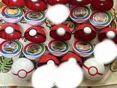 ポケパーク カントー ポケモンピンバッジ 5点＋＋モンスターボール＋袋