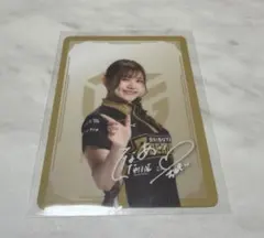 Item thumbnail for item 3b7ff85d-4207-4bca-abf6-2b9c24865c59