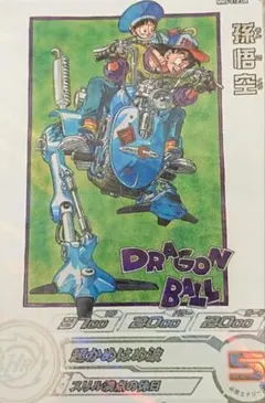 孫悟空　MM5-018DA