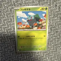 フシギダネ PROMO BW-Pプロモカード 001/069 - メルカリ