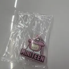 MINITEEN ジョンハン トラム めじるしアクセサリー