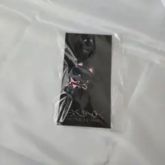 仮面ライダーガヴ】シータとジープの永遠の証リボンチャーム 〜これで