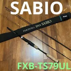 Item thumbnail for item eb783315-0381-44ea-bfa0-7882f62823ff