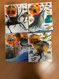 Item thumbnail for item b5558e54-07a2-4299-b818-4da0b5c6f093