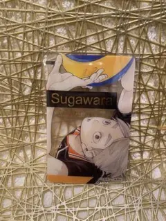 ハイキュー ファンパーク 箔押しクリアカード 菅原孝支 - メルカリ