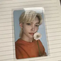 straykids フィリックス ナシフィック トレカ