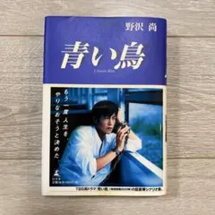 Item thumbnail for item a85d1ff5-62c4-4deb-83ce-fad4d8eea879