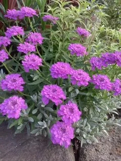 ひとりん！様 リクエスト 4点 まとめ商品