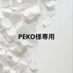 PEKO様 リクエスト 2点 まとめ商品