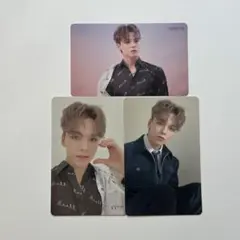 SEVENTEEN トレカ 舞い落ちる花びら バーノン