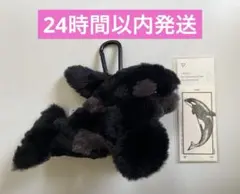 須磨シーワールド限定　カラビナ付きふわふわシャチのぬいぐるみ　ブラックシャチ