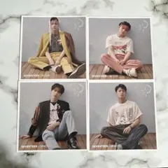 SEVENTEEN 舞い落ちる花びら　エントリーカード