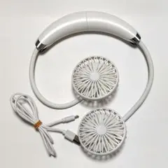 Item thumbnail for item 0f90bfe4-348b-4d87-814d-7c731e56ee70