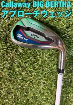 Item thumbnail for item e9650f57-ff9f-4dcb-84c9-ad588db306f7