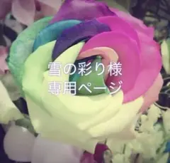 雪の彩り様　専用ページ